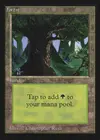 Product image for Forêt