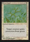 Product image for Green Ward