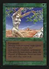 Product image for Shanodin Dryads