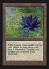 Product image for Black Lotus