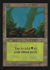 Product image for Forest