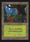 Product image for Forest