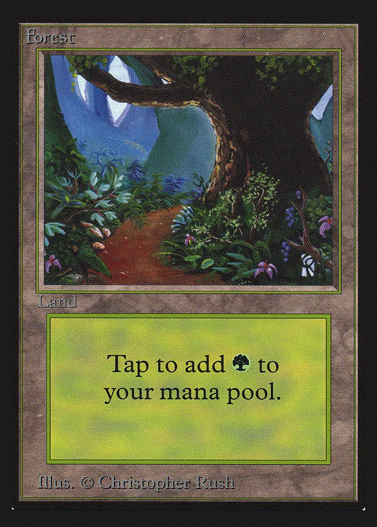 Forest — Intl. Collectors' Edition — Magic: The Gathering