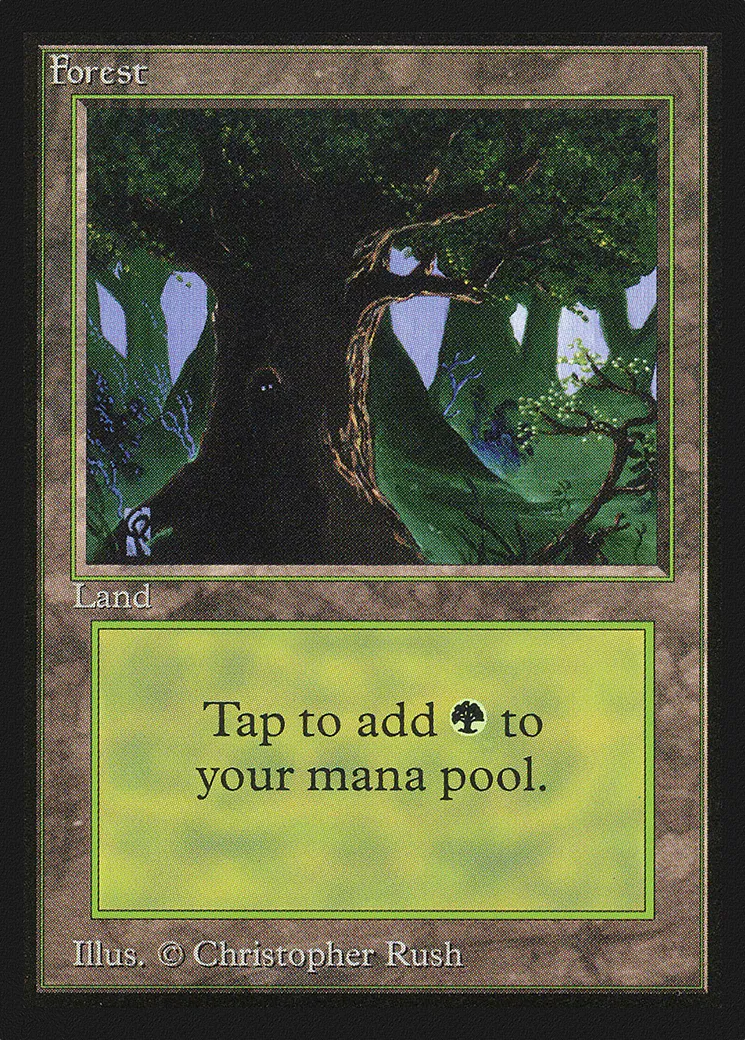 Forest — Intl. Collectors' Edition — Magic: The Gathering