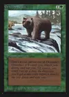 Product image for Grizzly Bears