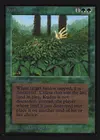 Product image for Kudzu