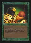 Product image for Natural Selection