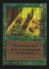 Product image for Regrowth