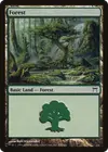 Product image for Forest