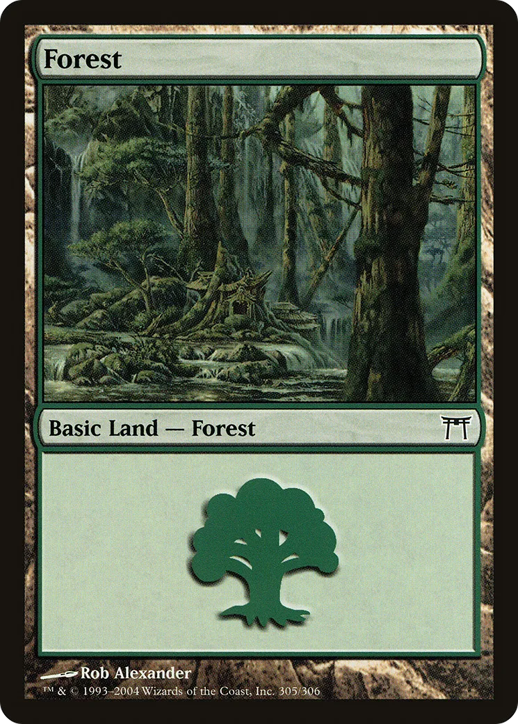 Forest — Champions of Kamigawa — Magic: The Gathering