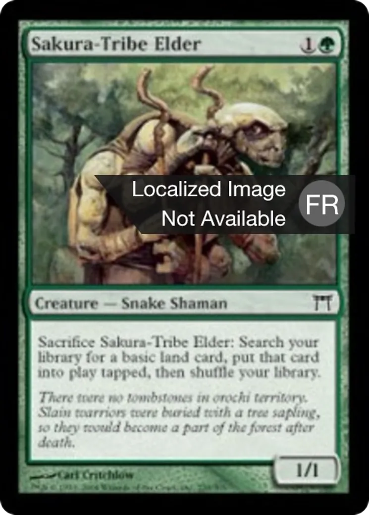 Ancêtre de la tribu Sakura — Champions of Kamigawa — Magic: The Gathering