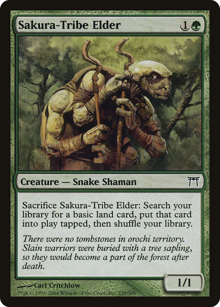 Ancêtre de la tribu Sakura — Champions of Kamigawa — Magic: The Gathering
