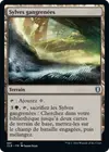 Product image for Sylves gangrenées