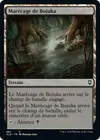 Product image for Marécage de Bojuka