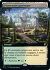Product image for Promenade généreuse