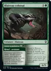 Product image for Blaireau colossal // Creuser en profondeur