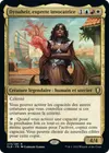 Product image for Dynaheir, experte invocatrice