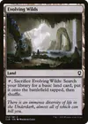 Product image for Evolving Wilds