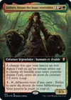 Product image for Faldorn, héraut des loups vénérables