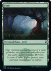Product image for Forêt