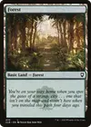 Product image for Forest