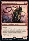 Product image for Maître espion gobelin