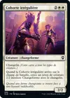 Product image for Cohorte irrégulière