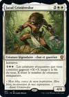 Product image for Jazal Crinièredor