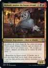 Product image for Mahadi, maître du bazar errant