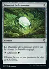Product image for Diamant de la mousse