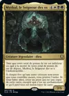 Product image for Myrkul, le Seigneur des os