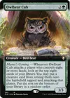 Product image for Owlbear Cub