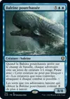 Product image for Baleine pourchassée