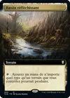Product image for Bassin réfléchissant