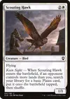 Product image for Scouting Hawk