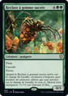 Product image for Recluse à gomme sucrée