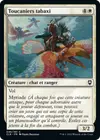 Product image for Toucaniers tabaxi
