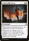 Product image for Undercellar Sweep