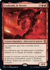 Product image for Urabrask le Secret