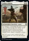 Product image for Soldat vétéran