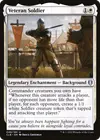 Product image for Veteran Soldier