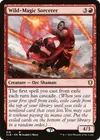 Product image for Wild-Magic Sorcerer
