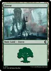 Product image for Forest