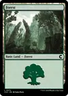 Product image for Forest