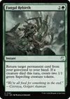 Product image for Fungal Rebirth
