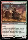 Product image for Stampede Surfer