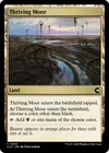 Product image for Thriving Moor