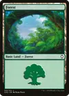 Product image for Forêt
