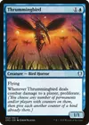 Product image for Thrummingbird