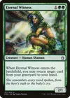 Product image for Eternal Witness